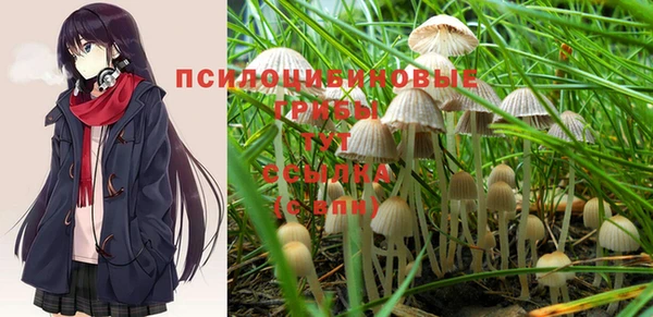 круглые Белокуриха