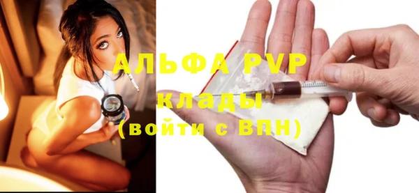 прущие грибы Гусев