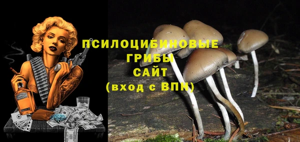 гашиш Беломорск