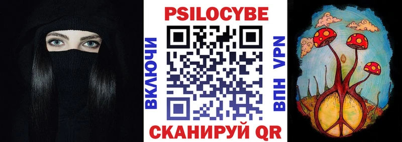 Псилоцибиновые грибы Psilocybine cubensis  Светлогорск 